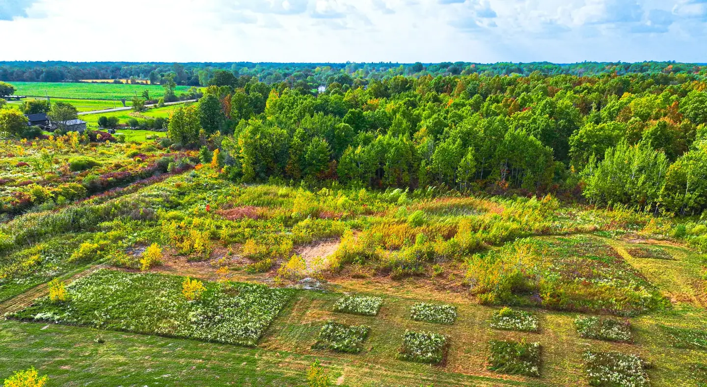 The Six Nations landscape surrounding SixMiles